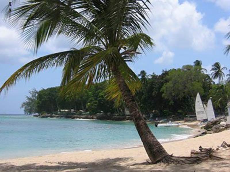 Starfish Discovery Bay Χόουλταουν Εξωτερικό φωτογραφία